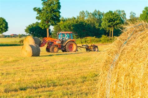 The Tractor Collects Hay Stock Photo Image Of Grass 95008774
