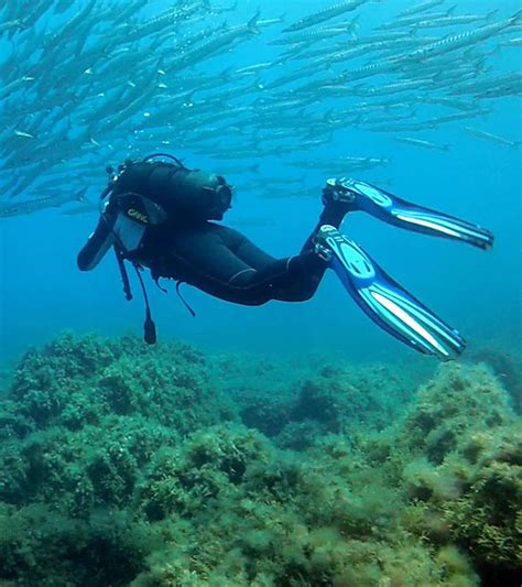 The Pools Diving Catania Il Faro Diving