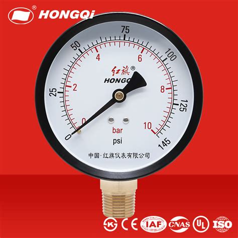 Hongqi Instrument Y Black Painted Steel Double Scale Pressure