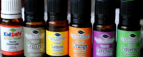 Best Essential Oils Brands Reviews And Comparison Healthy Trends