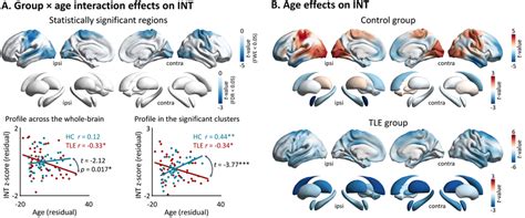 Effects Of Age On Intrinsic Neural Timescales Int A Interaction