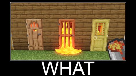 Minecraft Wait What Meme Part Realistic Lava Vs Doors Youtube