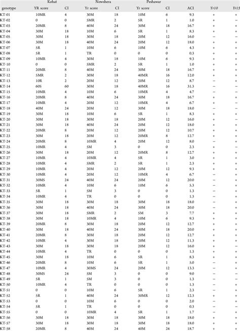 Stripe Rust Scoring Of Wheat Genotypes With Coefficient Of Infection