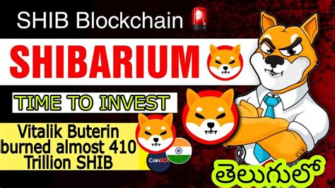 Shiba Inu Releases Shibarium Documentation T Shiba Inu Shib Burn