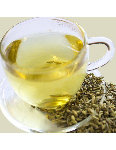 Fennel Seed Tea Organic