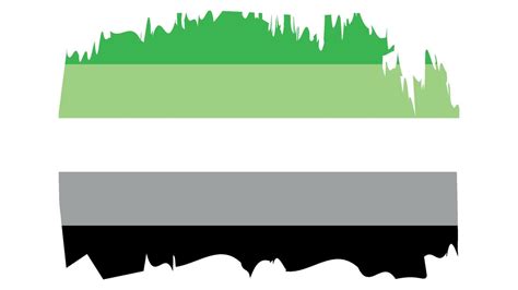 Aromantic Pride Flag Illustration Lgbt Community Bright Concept