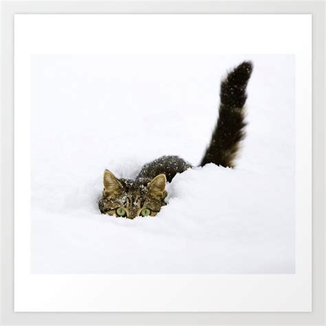 Snow Cat Art Print by kumiskucing | Society6