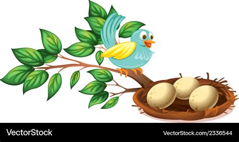 A Blue Bird Watching Eggs In Nest Royalty Free Vector Image