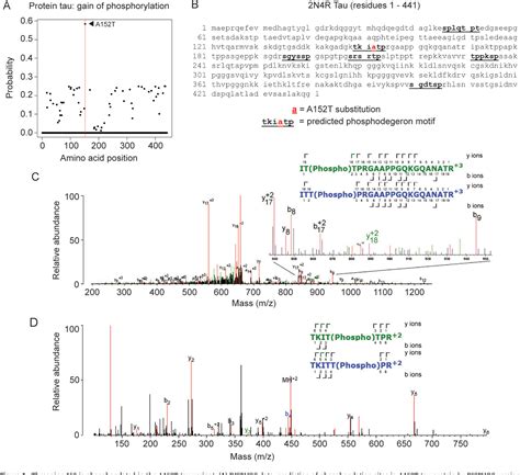 Figure 1 From Tau MAPT Disease Associated Variant A152T Alters Tau