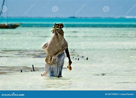 Woman Collecting Seaweeds Stock Image Image Of Destination