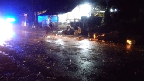 Garut Diguyur Hujan Dan Angin Kencang 2 Pohon Tumbang Okezone News