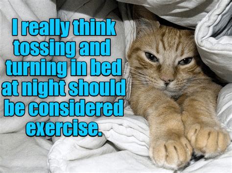 If Thats The Case I Get Plenty Of Exercise Lolcats Lol Cat