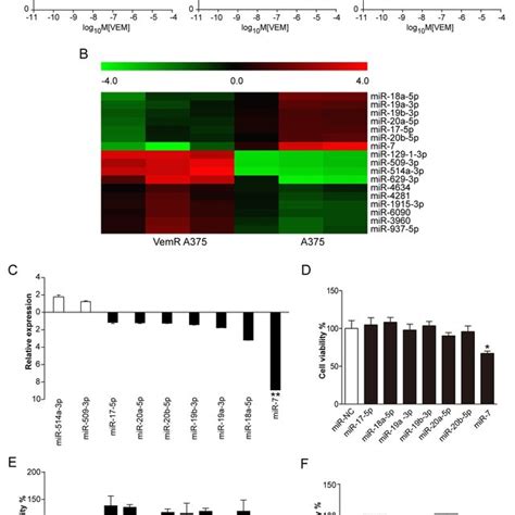 MiR 7 Inhibits VemR A375 Melanoma Tumor Growth In Vivo VemR A375