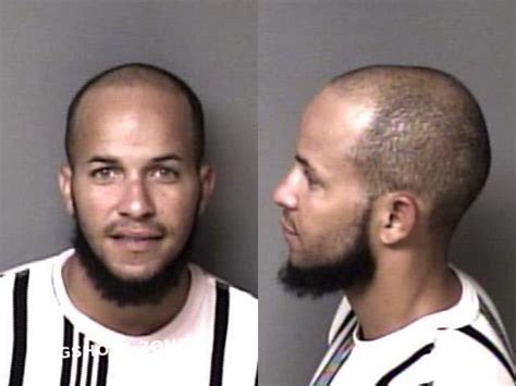 Ogando Abreu Francisco Rafael Gaston County Mugshots Zone