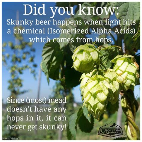 Thursday Fun Fact 7 10 Skunky Groennfell And Havoc Mead Store