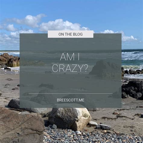 Am I Crazy? A look at my life and the crazy it has become.