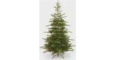 National Tree Company 75 Ft Norwegian Spruce Tree With Clear Lights