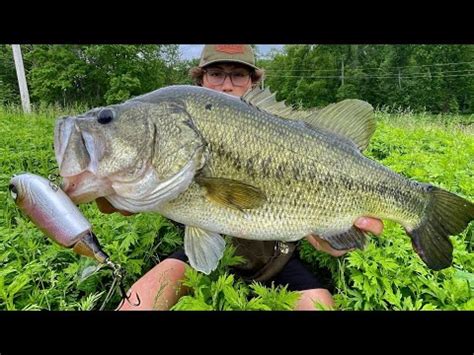 CATCHING BIG BASS W BIG BAITS IN HIDDEN PONDS Bass Manager The