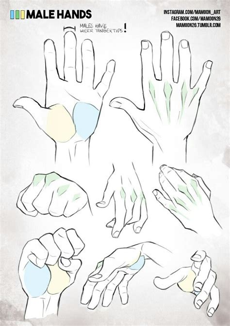 Pin by 席 庭 on 肢體 Hand drawing reference Drawing reference Anatomy