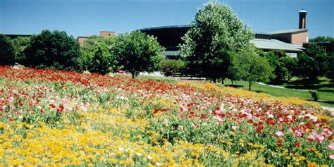 Wildseed Farms – Fredericksburg, CA | Wine Country