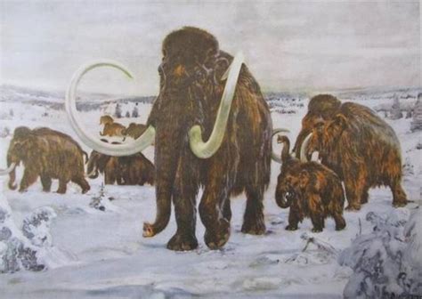 Stádomamutů (obraz od Zdeňka Buriana)