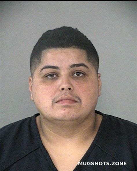 Larin Veronica Evilia Fort Bend County Mugshots Zone