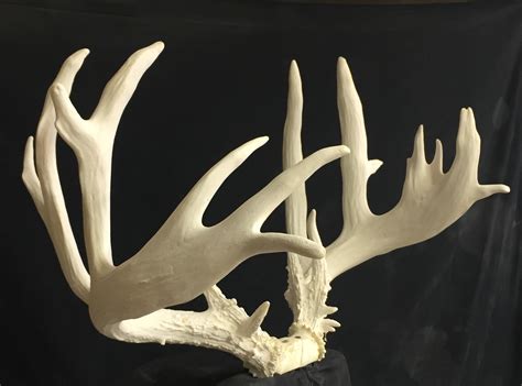229"