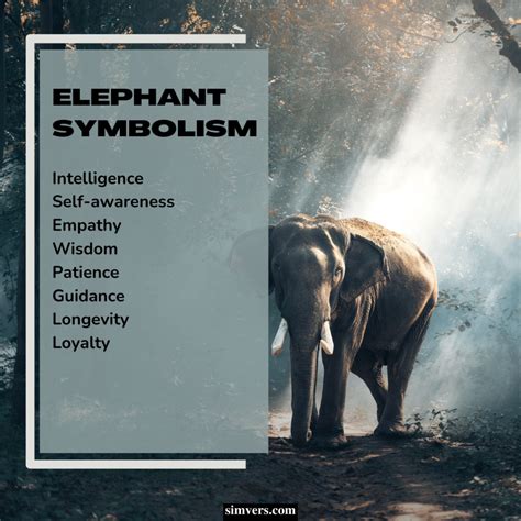 Elephant Symbolism: Culture, Dreams, Omens (Full Guide)