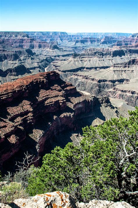 South Rim Trail View Photograph by Norman Johnson - Fine Art America