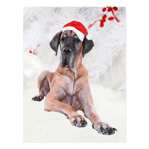 Great Dane Dog Hat Merry Christmas Postcard