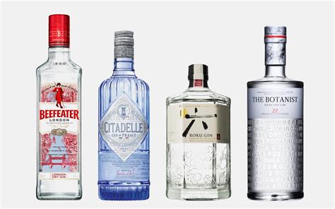 Top 10 Gins Brands At Raeann Turner Blog