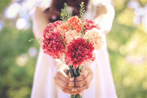 カーネーションの花束を差し出す女の子の画像｜おしゃれなフリー写真素材：girly Drop