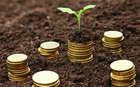 microfinance etonomics