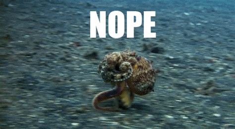 Nope Octopus - Reaction GIFs