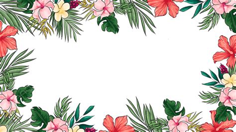 Frontera Floral Rosa De Hojas Tropicales Png Tropical Hojas Verano