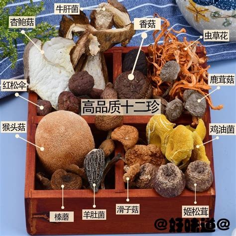 雲南 七彩野生菌菇湯包 70剋一包 羊肚菌竹蓀姬鬆茸菇 Avri 蝦皮購物