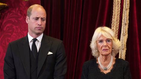 Prince William 'couldn't stand' Camilla after she 'destroyed' King ...