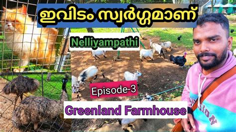 Best Place Of Nelliyampathy Greenland Farmhouse Bike Trip Ep