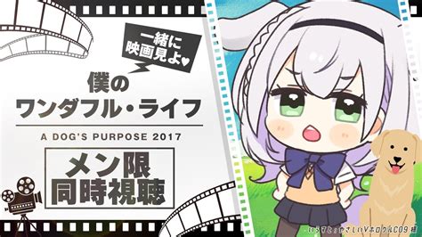 【メン限／同時視聴】「僕のワンダフル・ライフ」同時視聴！絶対にボロ泣きする未来しか見えない果たして🐶？！【白銀ノエルホロライブ