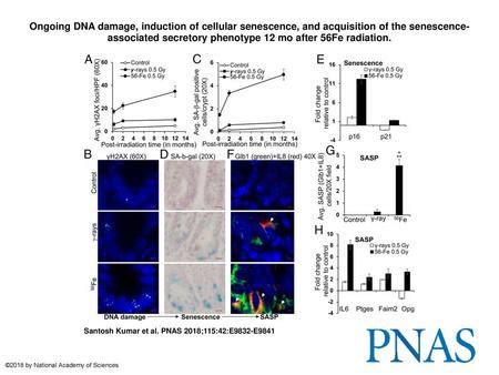 Dysregulation Of Wnt Catenin And Ephb Ephrinb Signaling After Fe