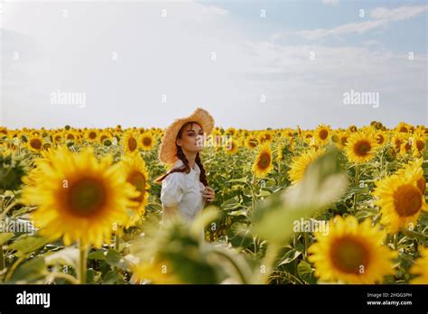 Beautiful Sweet Girl In A Straw Hat In A White Dress A Field Of Sunflowers Agriculture Unaltered