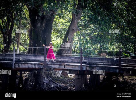 Mennonites in Belize Stock Photo - Alamy