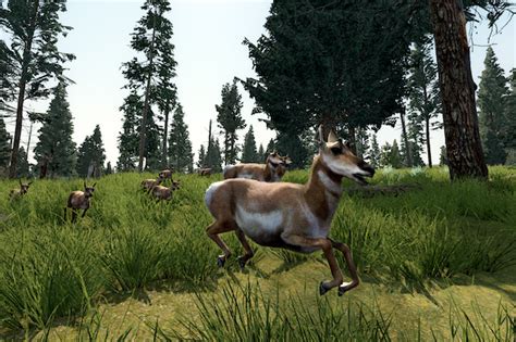 Pronghorn / WolfQuest