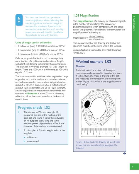 Preview Cambridge International As And A Level Biology Revision Guide