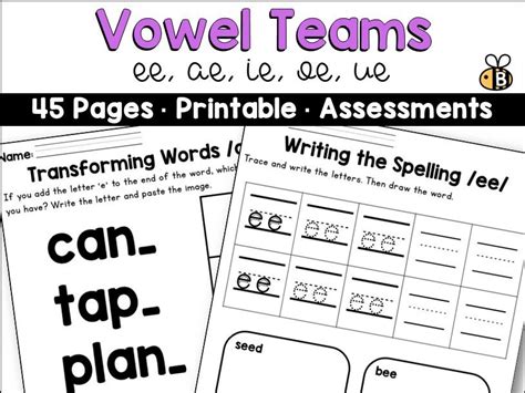 Vowel Teams Cvce Vowel Digraph Worksheets Skills Teaching Resources