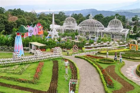 Taman Bunga Celosia Semarang Nikmati Wisata Seru Dengan Hamparan Bunga