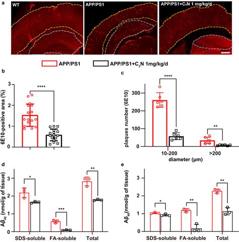 C3n Nanodots Reduce Aβ Deposition Levels In The Brain Of App Ps1