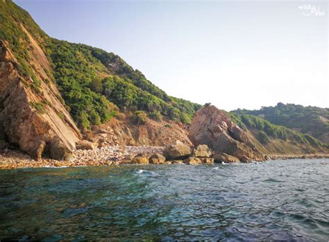 Plages M Connues En Tunisie D Couvrir Absolument Wildyness