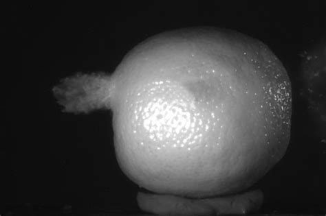 jpg strobe project laboratory electrical engineering  computer