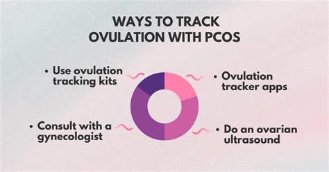 Manage Regular Periods With Pcos Valuable Expert Insights 2024